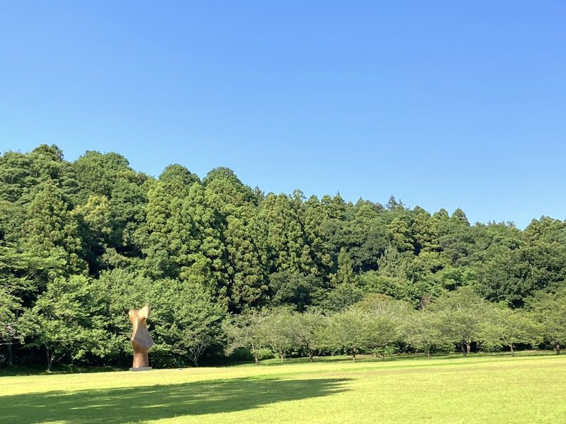 DIC川村記念美術館の庭園 2025.6