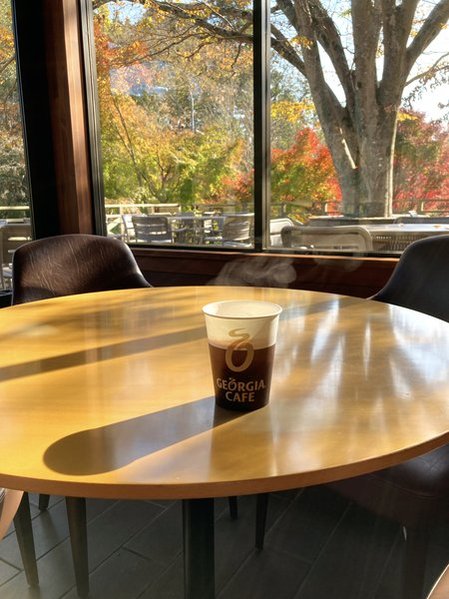 川村記念美術館の庭園　2025年