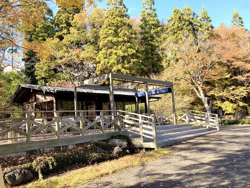 川村記念美術館の庭園　2025年