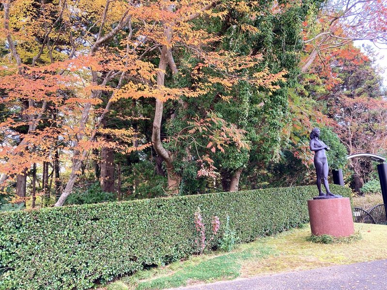 川村記念美術館の紅葉　2025年現在