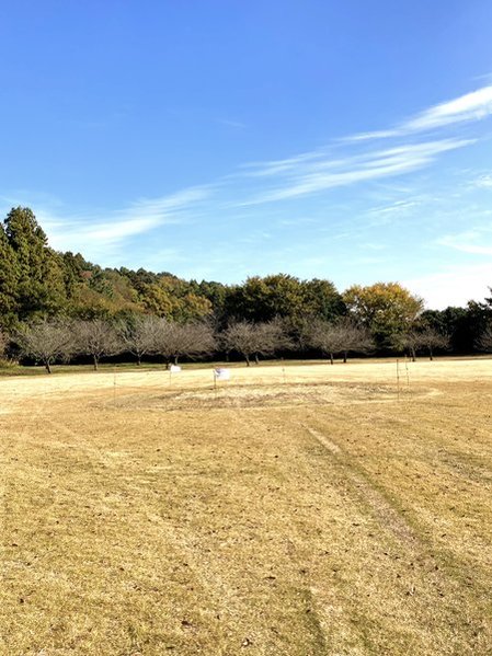 川村記念美術館の庭園　2025年