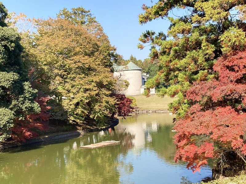 川村記念美術館の紅葉　2025年現在