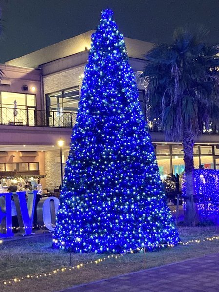 千葉みなと（さんばしひろば）イルミネーション2025年