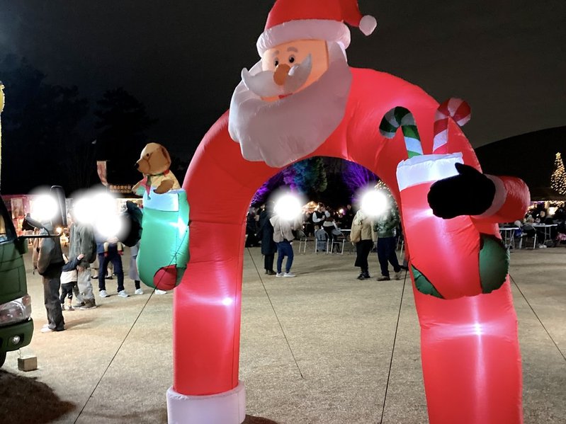 千葉公園（芝庭）イルミネーション2025年