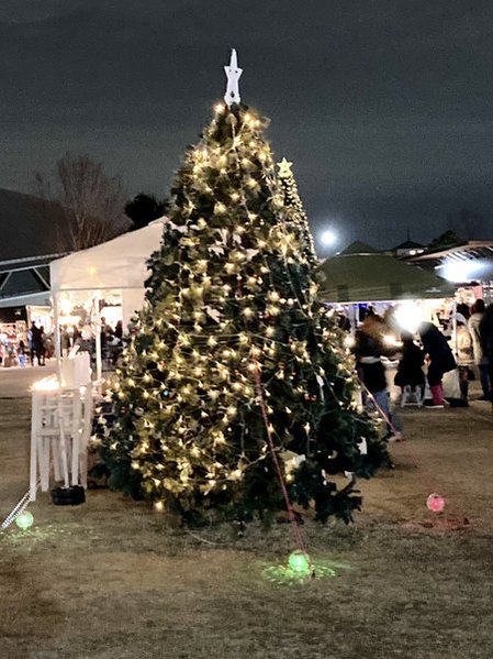 千葉公園（芝庭）イルミネーション2025年