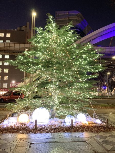 千葉市中央公園イルミネーション2025年