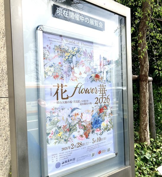2026年山種美術館　「花・flower・華 2026」