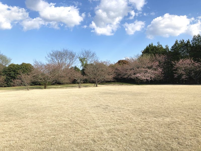 元DIC川村記念美術館の広場　写真　2026年
