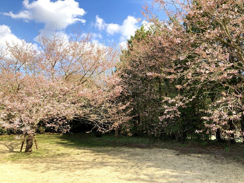 元DIC川村記念美術館のオモイガワ　写真　2026年