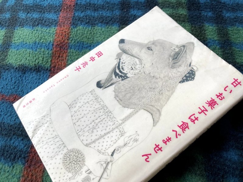 『甘いお菓子は食べません』（田中兆子）　表紙